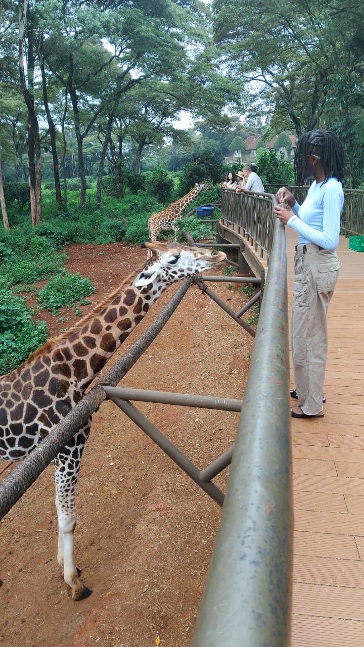 Giraffe Center